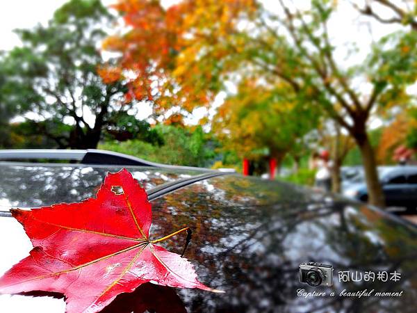 1021216 拱北殿與蘭陽博物館(pixnet)_001-watermark.jpg