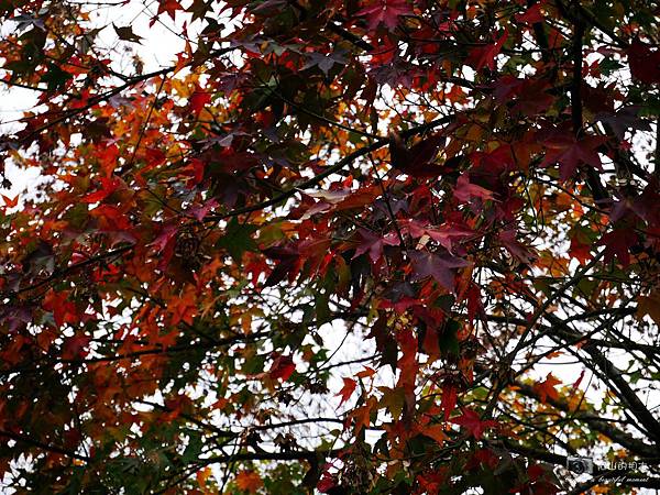 1021216 拱北殿與蘭陽博物館(pixnet)_007-watermark.JPG