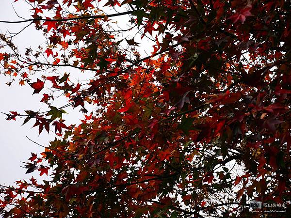 1021216 拱北殿與蘭陽博物館(pixnet)_008-watermark.JPG