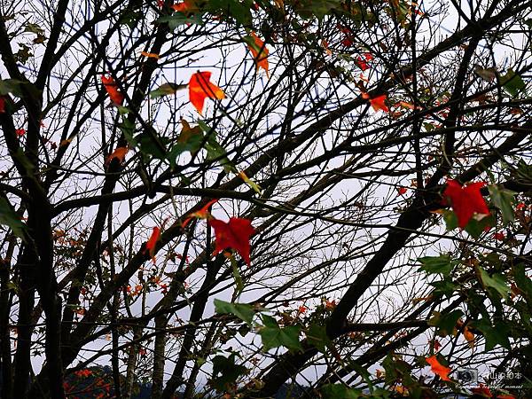 1021216 拱北殿與蘭陽博物館(pixnet)_029-watermark.JPG