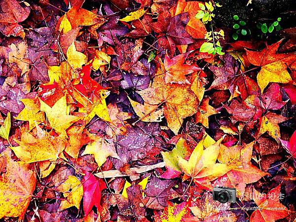 1021216 拱北殿與蘭陽博物館(pixnet)_032-watermark.jpg