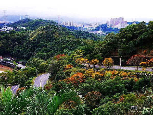 1021216 拱北殿與蘭陽博物館(pixnet)_034-watermark.JPG