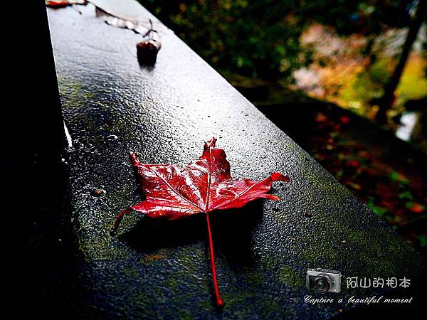 1021216 拱北殿與蘭陽博物館(pixnet)_036-watermark.jpg