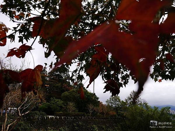 1021216 拱北殿與蘭陽博物館(pixnet)_042-watermark.JPG