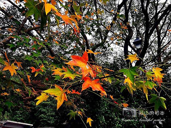 1021216 拱北殿與蘭陽博物館(pixnet)_043-watermark.jpg