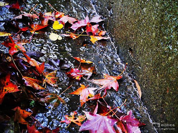 1021216 拱北殿與蘭陽博物館(pixnet)_045-watermark.JPG