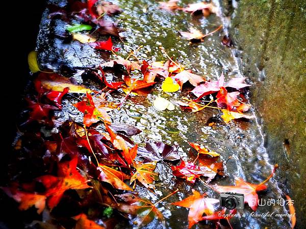 1021216 拱北殿與蘭陽博物館(pixnet)_046-watermark.jpg