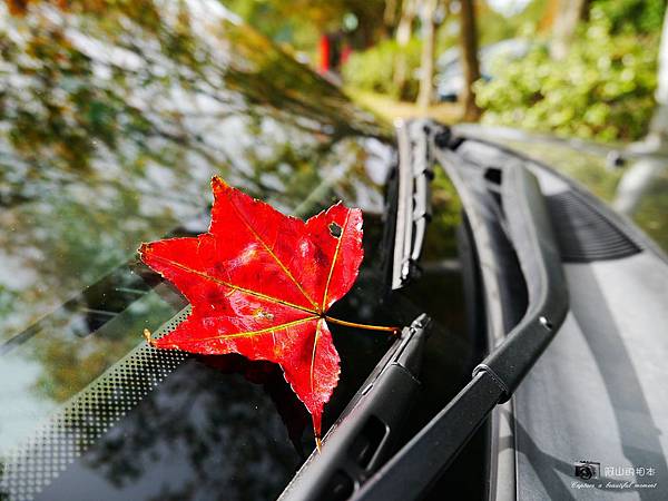 1021216 拱北殿與蘭陽博物館(pixnet)_047-watermark.JPG