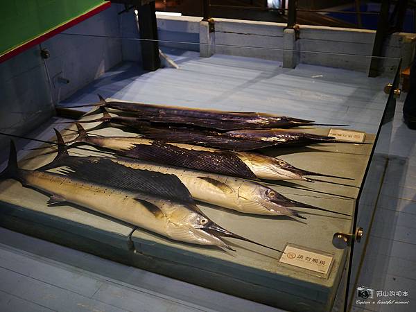 1021216 拱北殿與蘭陽博物館(pixnet)_089-watermark.JPG