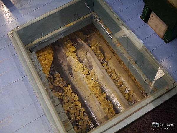 1021216 拱北殿與蘭陽博物館(pixnet)_090-watermark.JPG