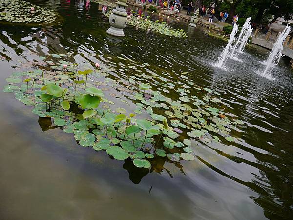 1030418 南投賞螢之旅259.JPG