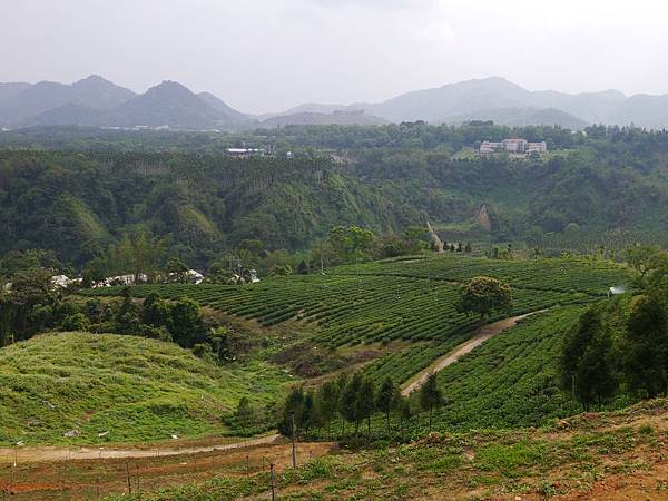 1030418 南投賞螢之旅314.JPG