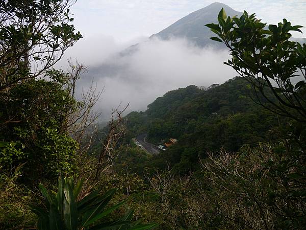 1031130 琉榔路觀光步道023.JPG