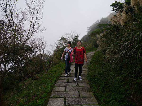 1031130 琉榔路觀光步道024.JPG
