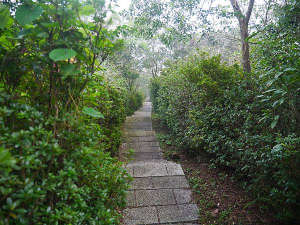 1031130 琉榔路觀光步道028.JPG