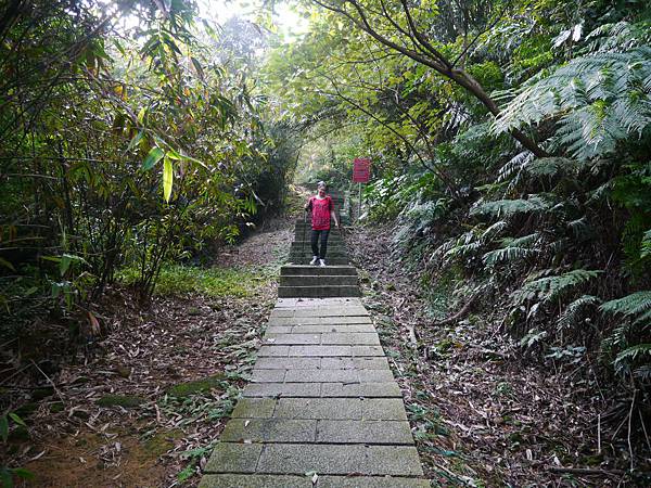 1031130 琉榔路觀光步道032.JPG