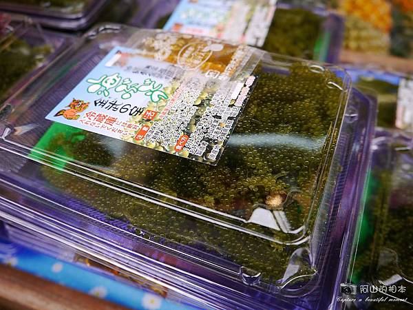 1040422 石垣島之旅148-wm