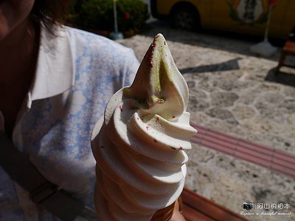 1040422 石垣島之旅165-wm