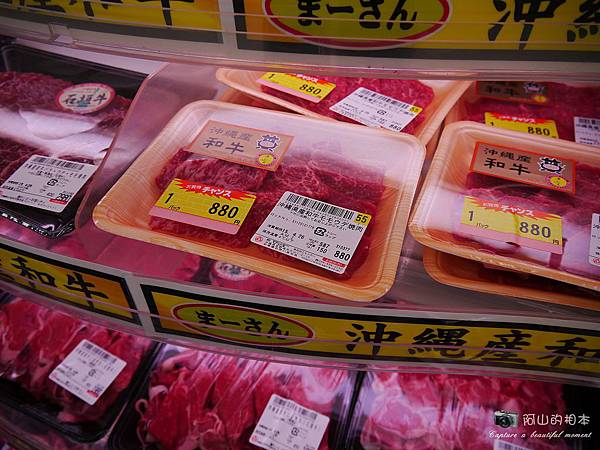 1040422 石垣島之旅184-wm