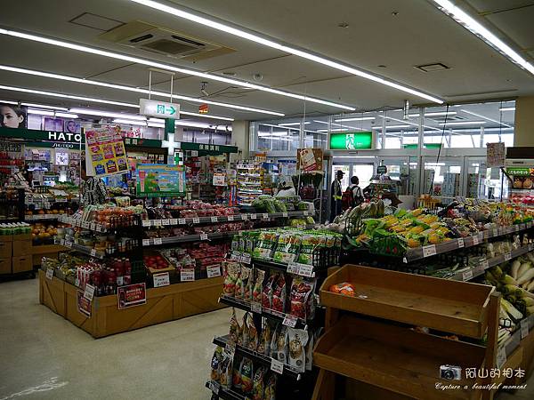 1040422 石垣島之旅185-wm