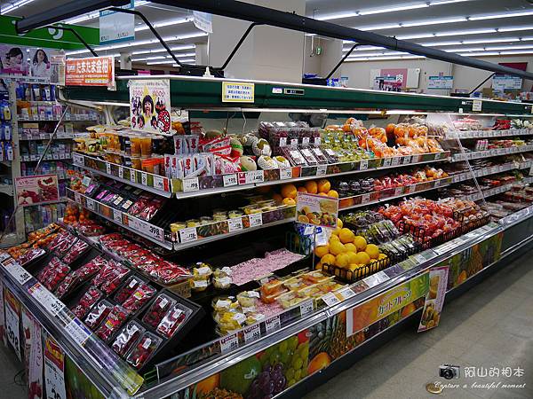 1040422 石垣島之旅188-wm