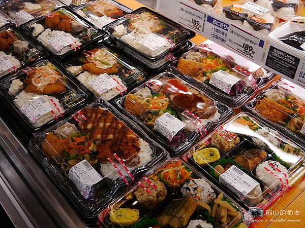 1040422 石垣島之旅196-wm