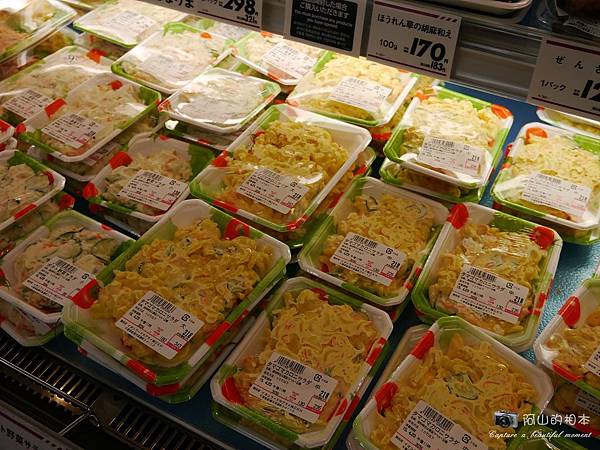 1040422 石垣島之旅201-wm