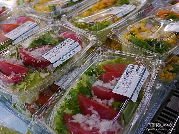 1040422 石垣島之旅204-wm