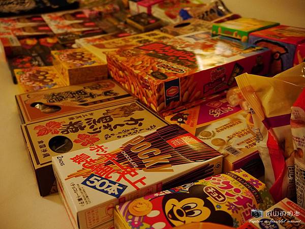 1040422 石垣島之旅244-wm