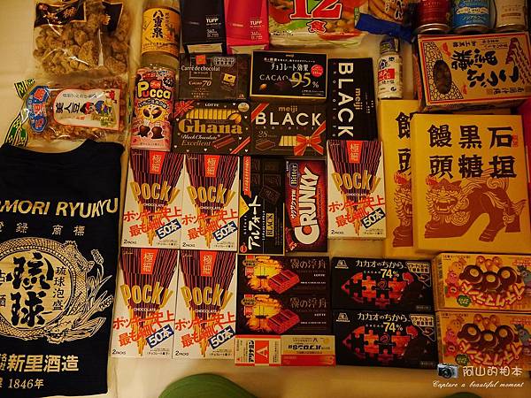 1040422 石垣島之旅245-wm