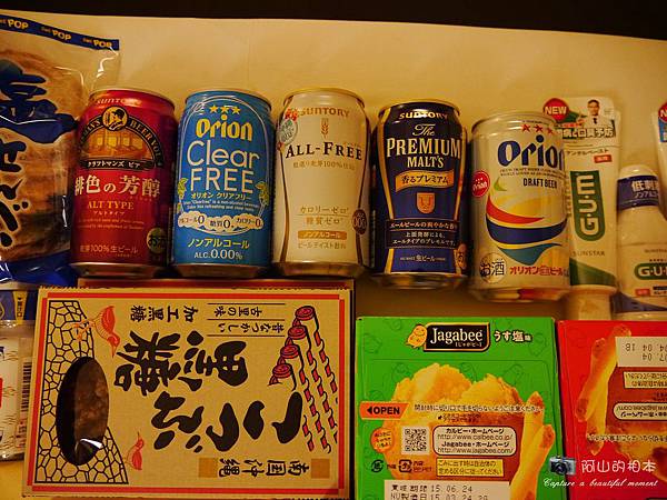 1040422 石垣島之旅246-wm