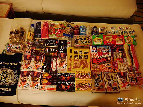 1040422 石垣島之旅247-wm