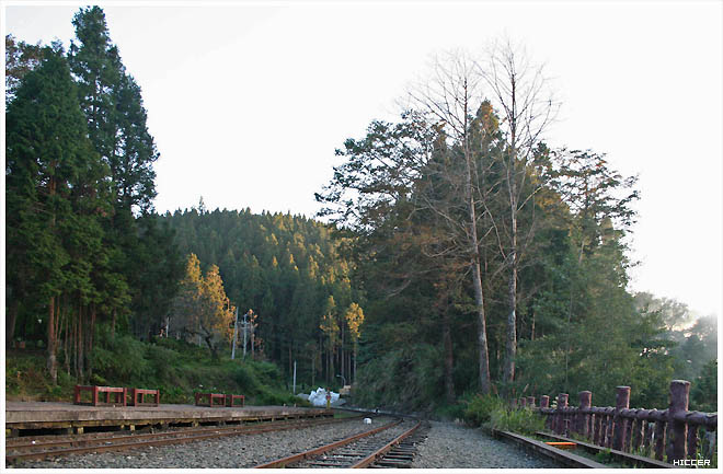 IMG_9716.jpg IMG_9716.jpg