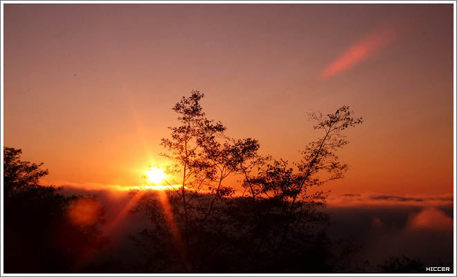 IMG_9736.jpg IMG_9736.jpg