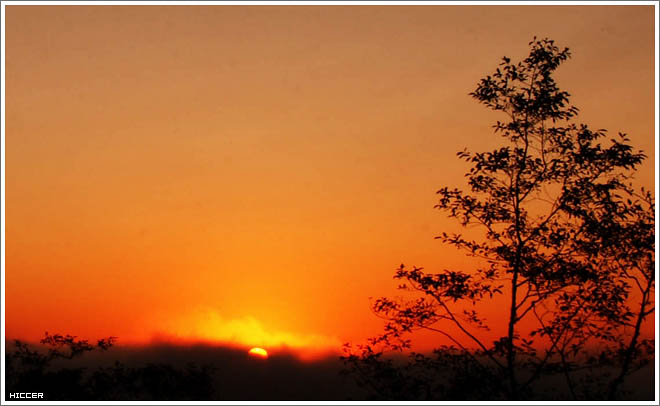 IMG_9741.jpg IMG_9741.jpg