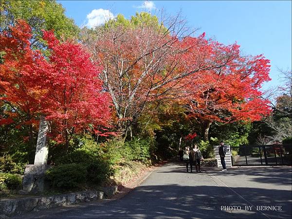 追紅葉 曼殊院門跡紅葉 京都生活 隨意窩xuite日誌