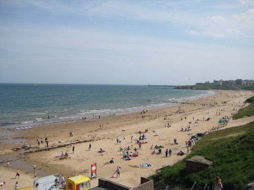20090525-0.jpg 20090525-0.jpg