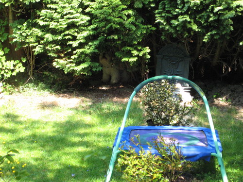 20090530-5.jpg 20090530-5.jpg