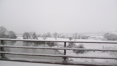 20100218-21.jpg 20100218-21.jpg