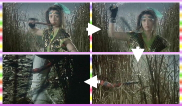 女忍忍法.自在笛 女忍忍法.自在笛