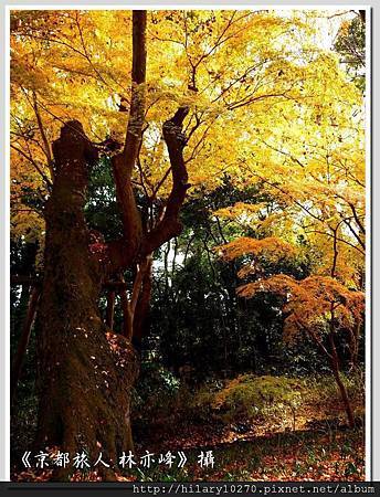 532434_418767458192366_147347609_n 532434_418767458192366_147347609_n