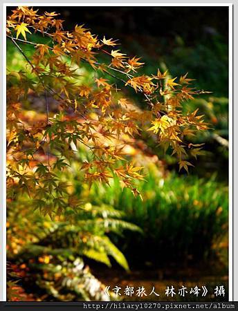 522614_417912111611234_1400610739_n 522614_417912111611234_1400610739_n