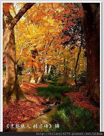 23877_418767388192373_769708361_n 23877_418767388192373_769708361_n