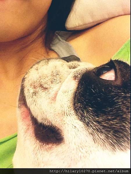 544811_10151854418164517_2033907773_n 544811_10151854418164517_2033907773_n