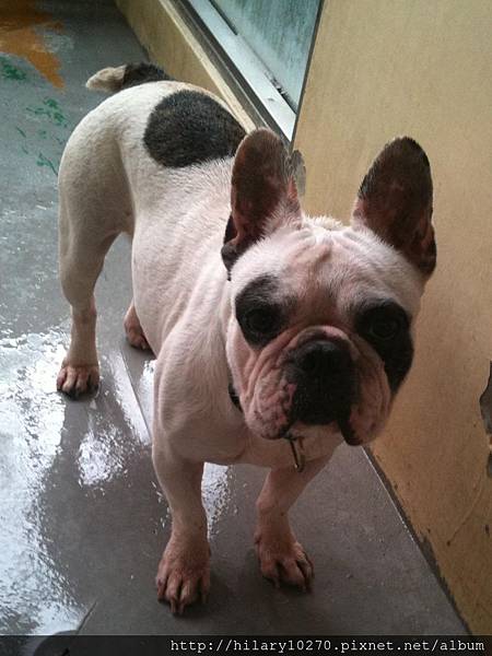 image_1365999539879315