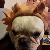 翊坤宮樂貴妃 翊坤宮樂貴妃