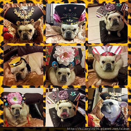 翊坤宮樂貴妃 翊坤宮樂貴妃