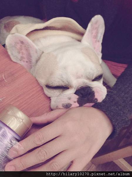 644504_483016825087326_1922467602_n 644504_483016825087326_1922467602_n