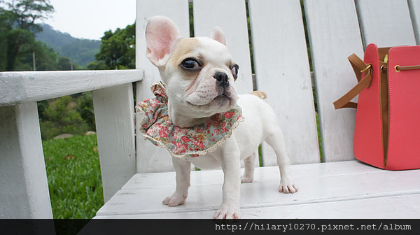 1366352154-4176234110_n