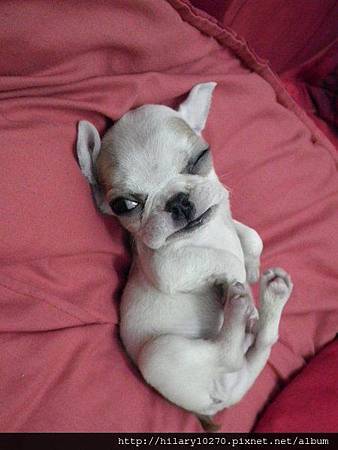 1366352964-2478937935_n